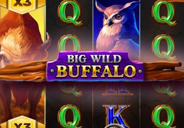Слот Big Wild Buffalo в казино Болливуд